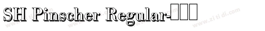 SH Pinscher Regular字体转换